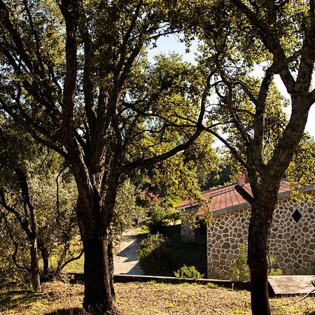 Quinta Dos Sincais Bed & Breakfast Guarda Bagian luar foto
