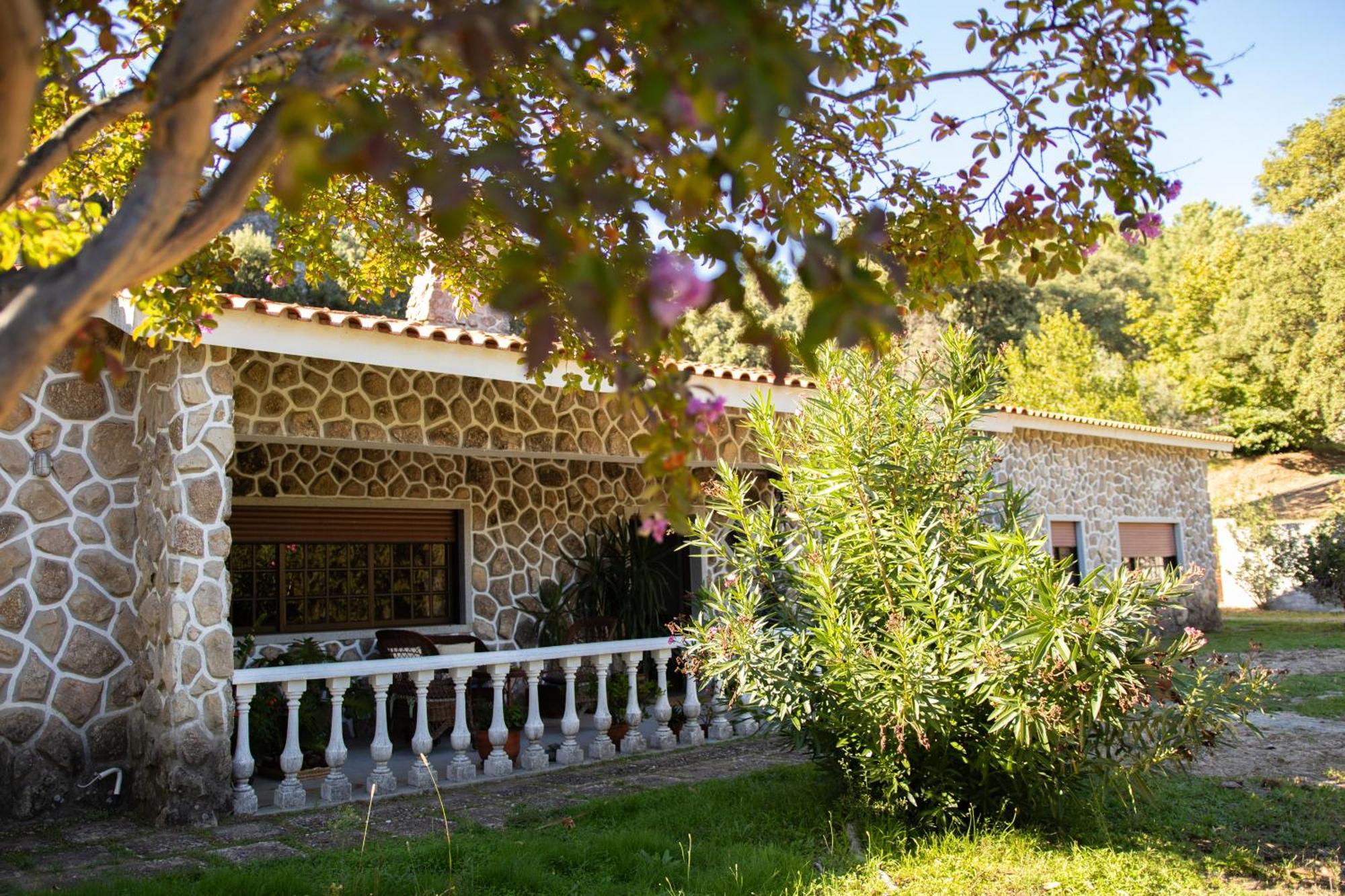 Quinta Dos Sincais Bed & Breakfast Guarda Bagian luar foto