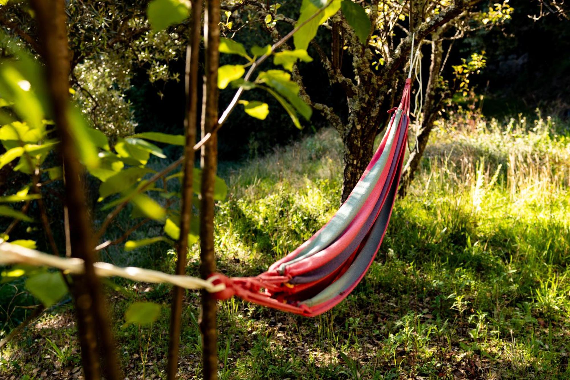Quinta Dos Sincais Bed & Breakfast Guarda Bagian luar foto